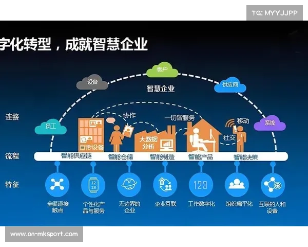 体育组织设立数字资产首席官，统筹数字化转型战略。
